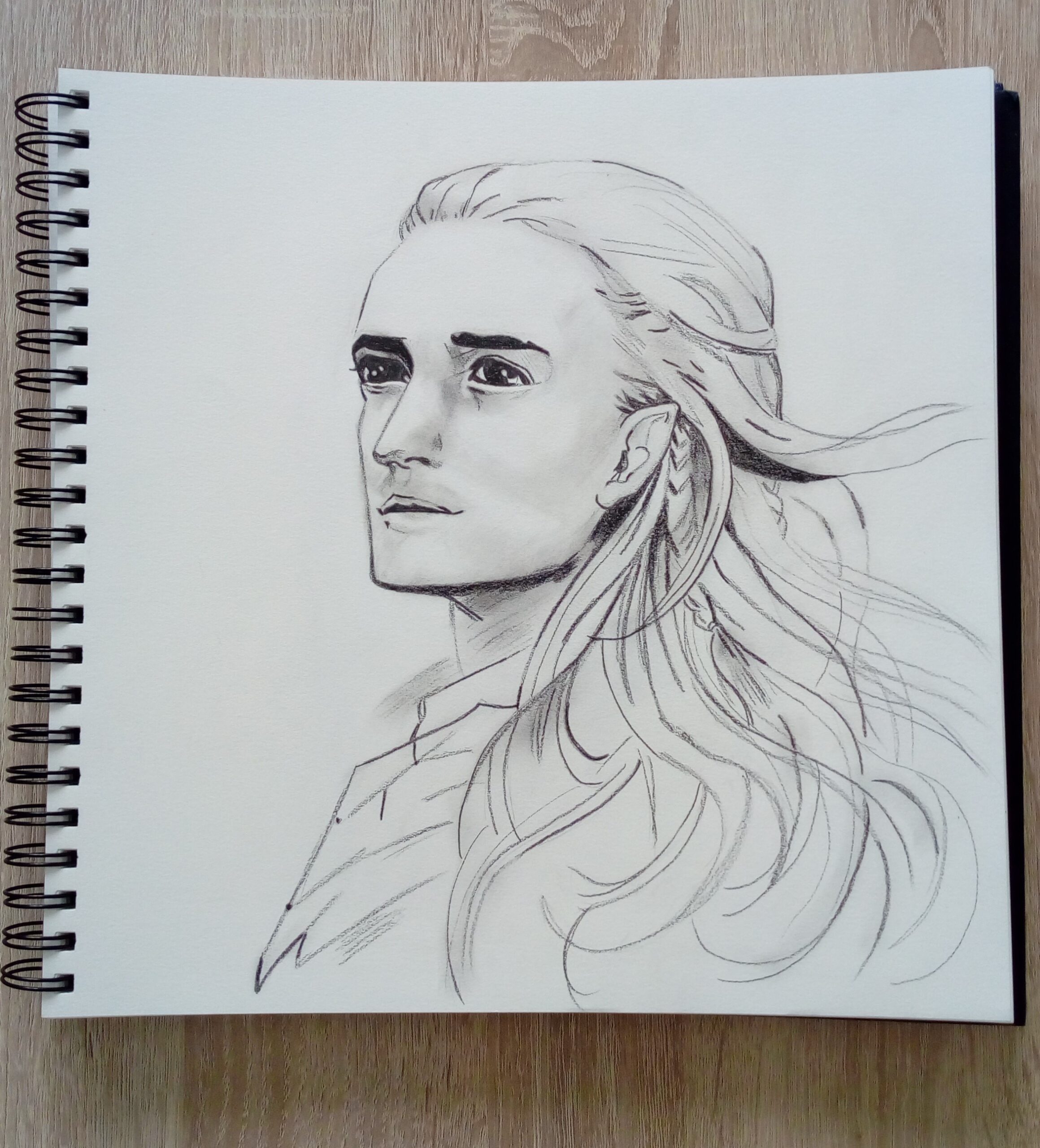 Legolas disegno a carboncino - Elfo Legolas - disegno elfo - immagine 4