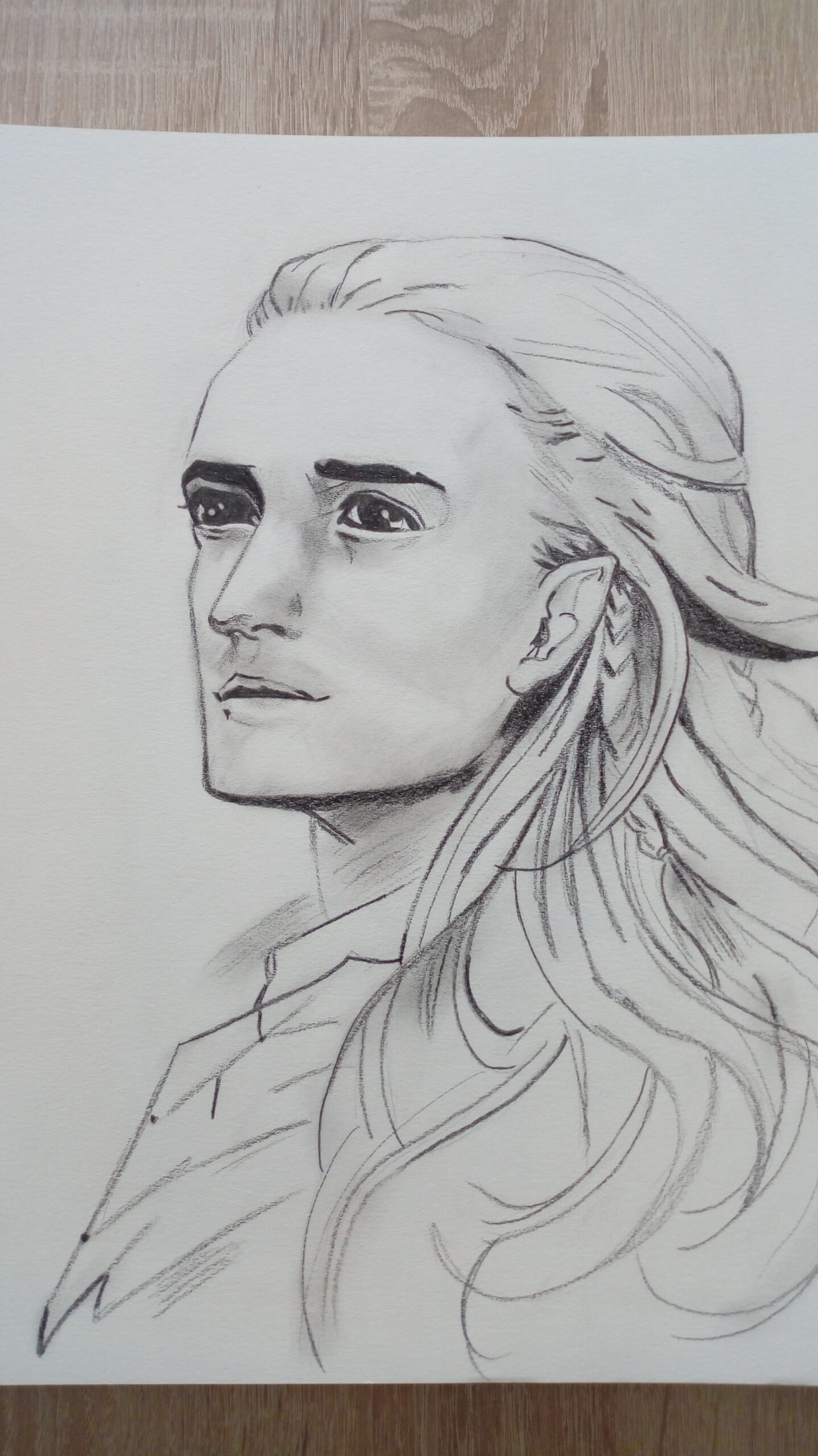 Legolas disegno a carboncino - Elfo Legolas - disegno elfo - immagine 3