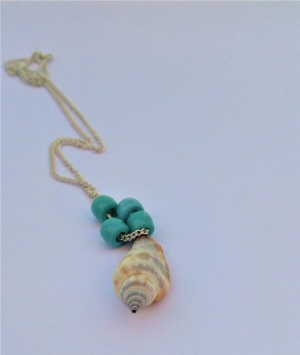 Seashell - Collana con conchiglia - conchiglia vera - conchiglia pendente