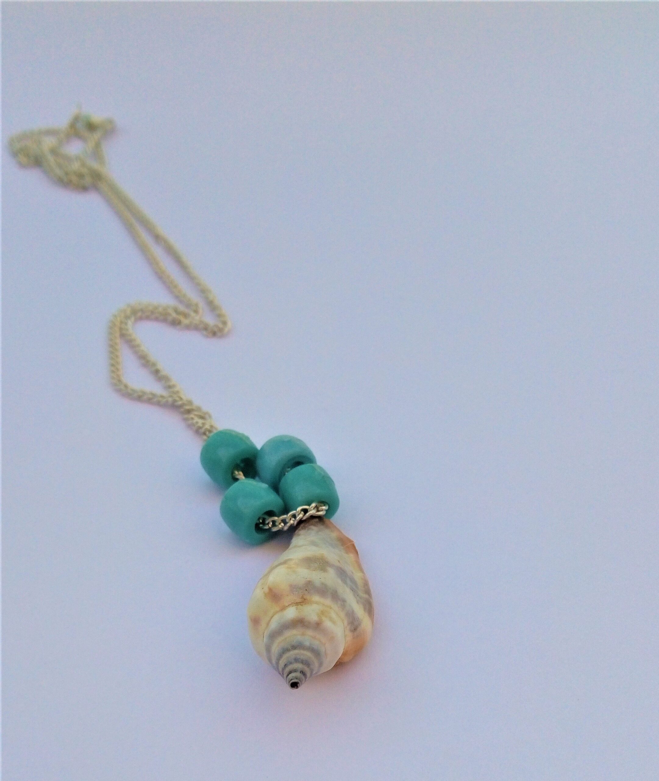 Seashell - Collana con conchiglia - conchiglia vera - conchiglia pendente
