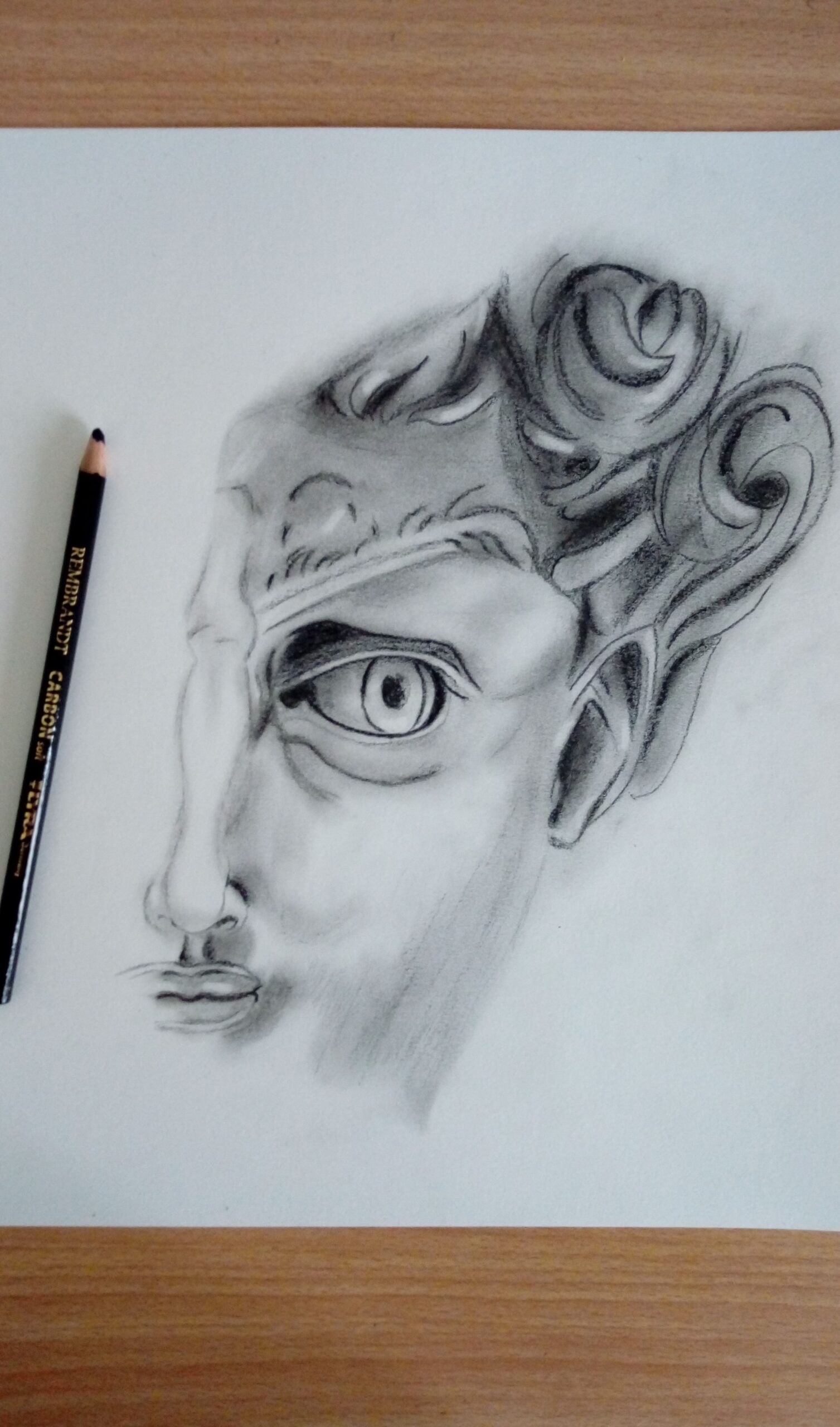 Disegno David di Michelangelo - quadro David - ritratto - immagine 2