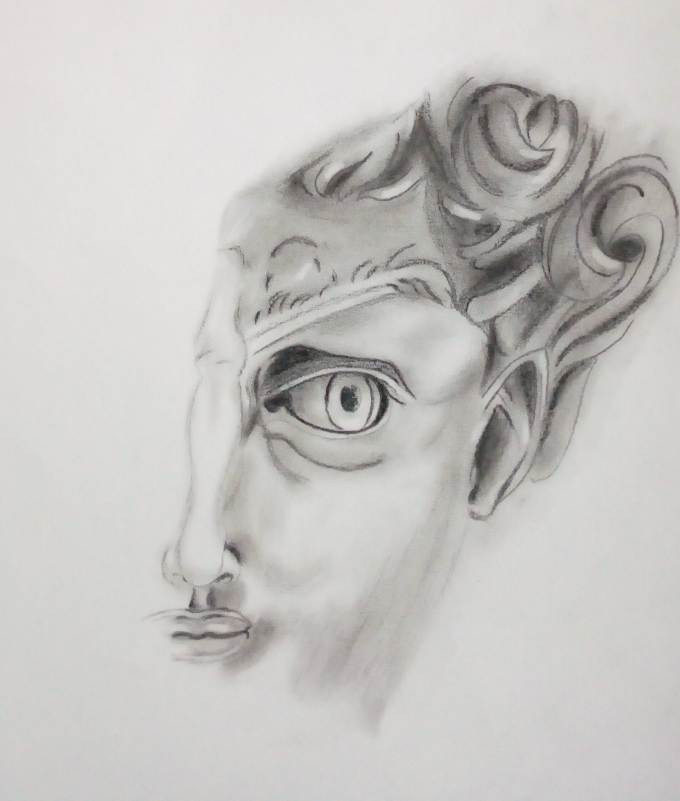 Disegno David di Michelangelo - quadro David - ritratto - immagine 4