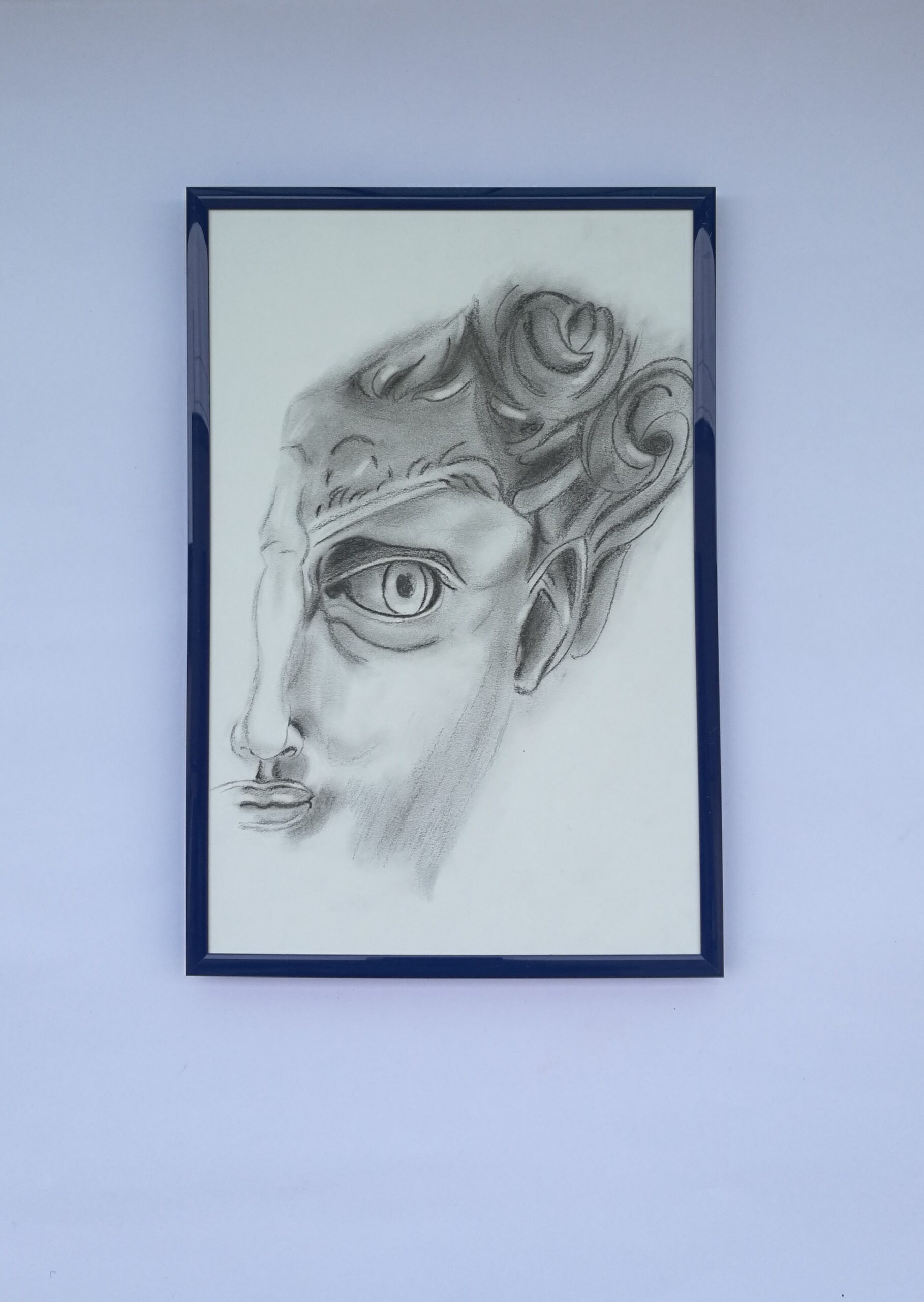 Disegno David di Michelangelo - quadro David - ritratto